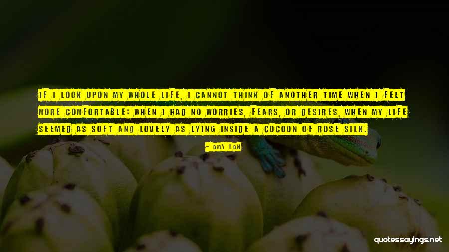 Worries And Fears Quotes By Amy Tan Worries And Fears Quotes By Amy Tan