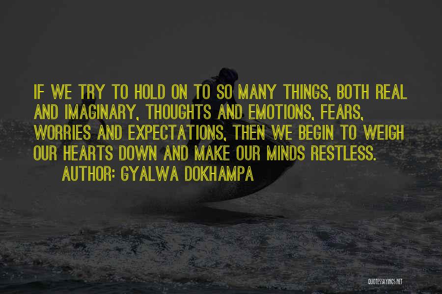 Worries And Fears Quotes By Gyalwa Dokhampa