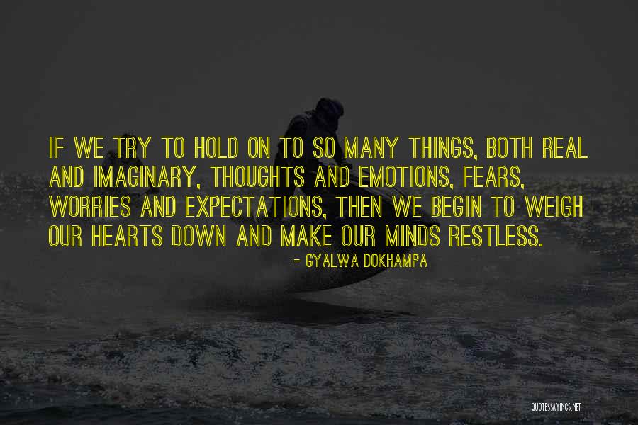 Worries And Fears Quotes By Gyalwa Dokhampa Worries And Fears Quotes By Gyalwa Dokhampa
