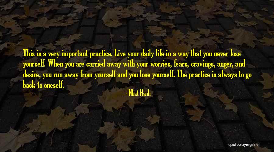 Worries And Fears Quotes By Nhat Hanh Worries And Fears Quotes By Nhat Hanh