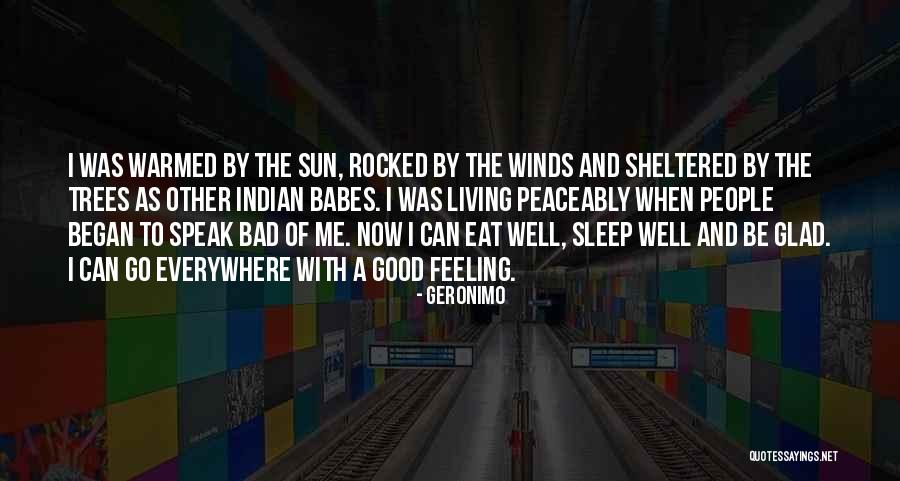 Worrisome Synonym Quotes By Geronimo Worrisome Synonym Quotes By Geronimo
