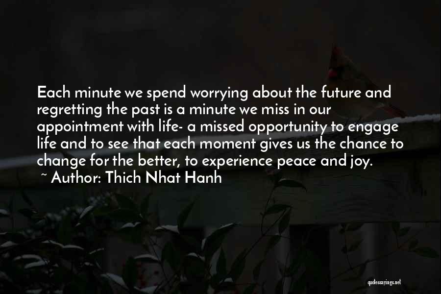 Worrying About Future Quotes By Thich Nhat Hanh