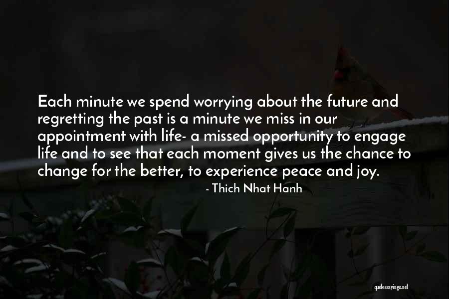 Worrying About Future Quotes By Thich Nhat Hanh