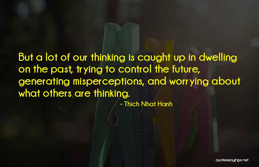 Worrying About Future Quotes By Thich Nhat Hanh