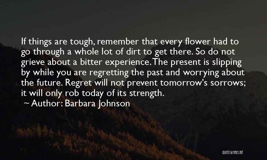 Worrying About The Future Quotes By Barbara Johnson