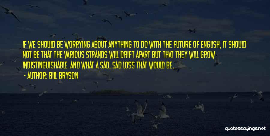 Worrying About The Future Quotes By Bill Bryson