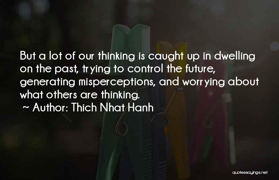 Worrying About The Future Quotes By Thich Nhat Hanh