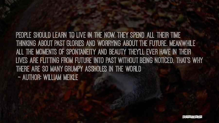 Worrying About The Future Quotes By William Meikle