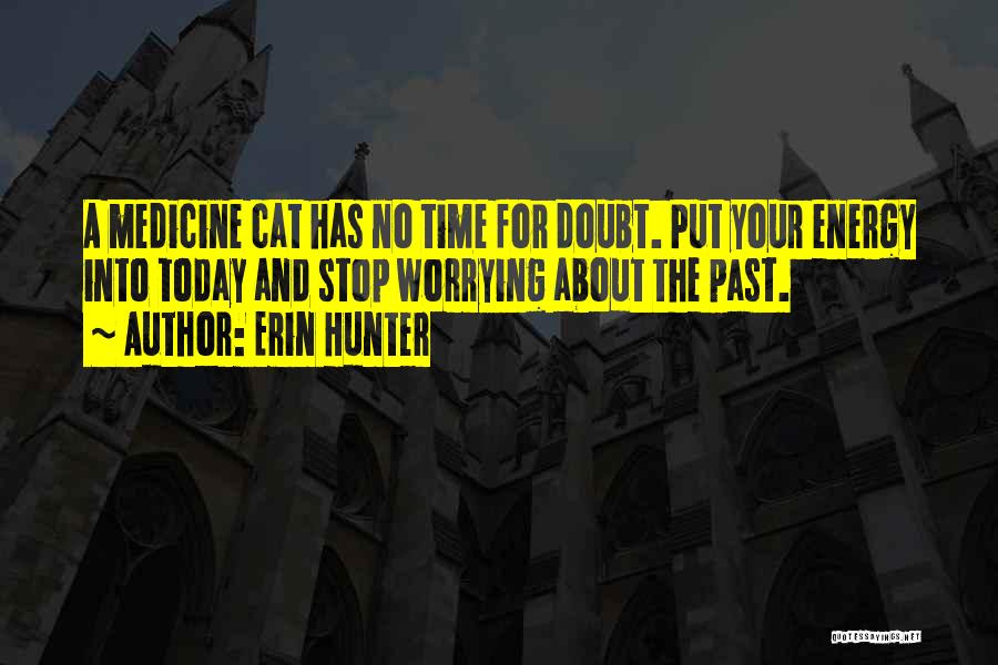 Worrying About The Past Quotes By Erin Hunter