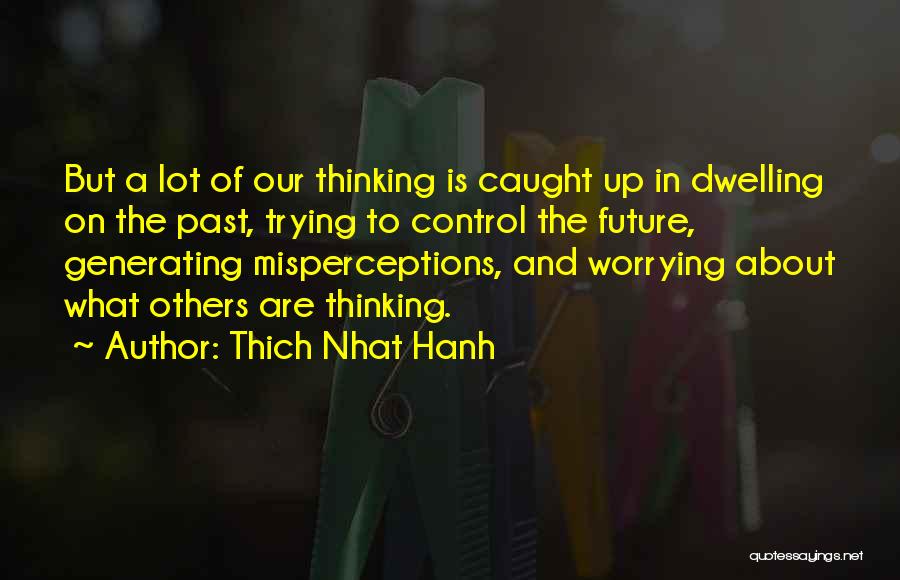 Worrying About The Past Quotes By Thich Nhat Hanh