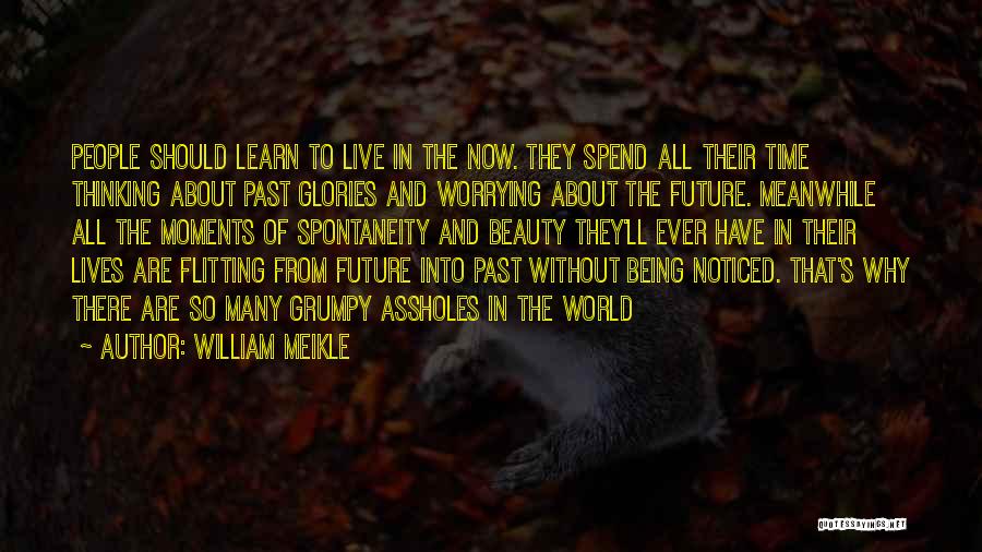 Worrying About The Past Quotes By William Meikle
