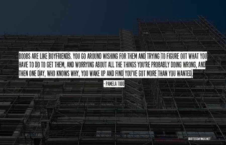 Worrying About The Wrong Things Quotes By Pamela Todd