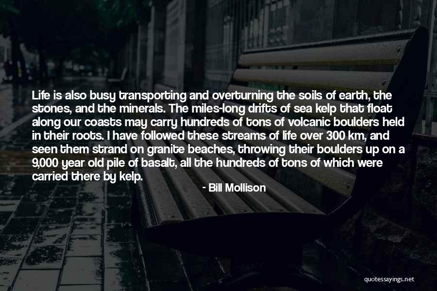 Worshiper Of Tlaloc Quotes By Bill Mollison Worshiper Of Tlaloc Quotes By Bill Mollison