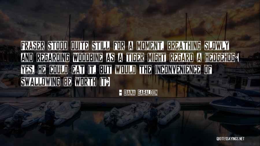 Worth Breathing Quotes By Diana Gabaldon Worth Breathing Quotes By Diana Gabaldon