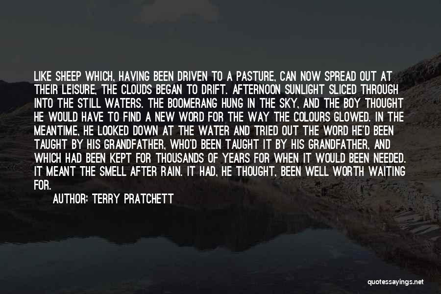 Worth Waiting For Quotes By Terry Pratchett