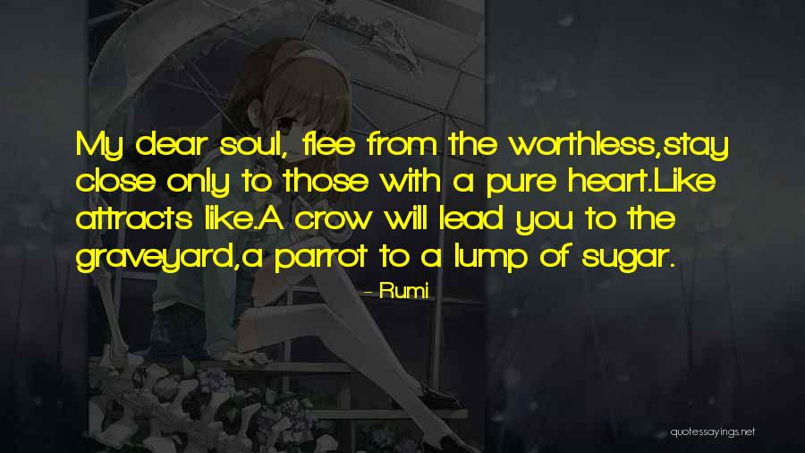 Worthless Quotes By Rumi