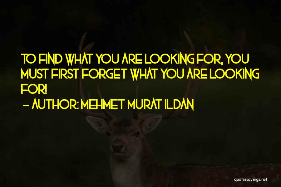 Woudiou Quotes By Mehmet Murat Ildan