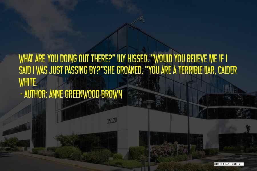 Would You Believe Me Quotes By Anne Greenwood Brown