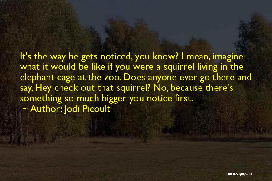 Would You Notice Quotes By Jodi Picoult
