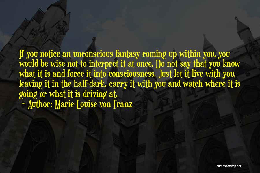 Would You Notice Quotes By Marie-Louise Von Franz