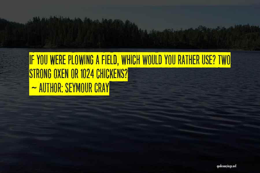 Would You Rather Quotes By Seymour Cray