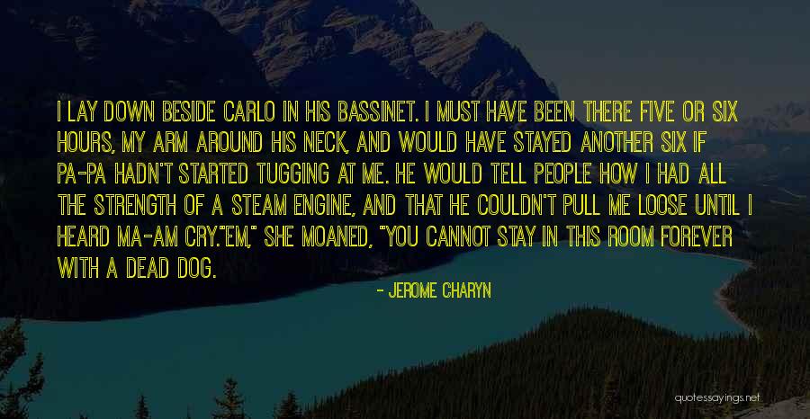 Would You Stay With Me Quotes By Jerome Charyn Would You Stay With Me Quotes By Jerome Charyn