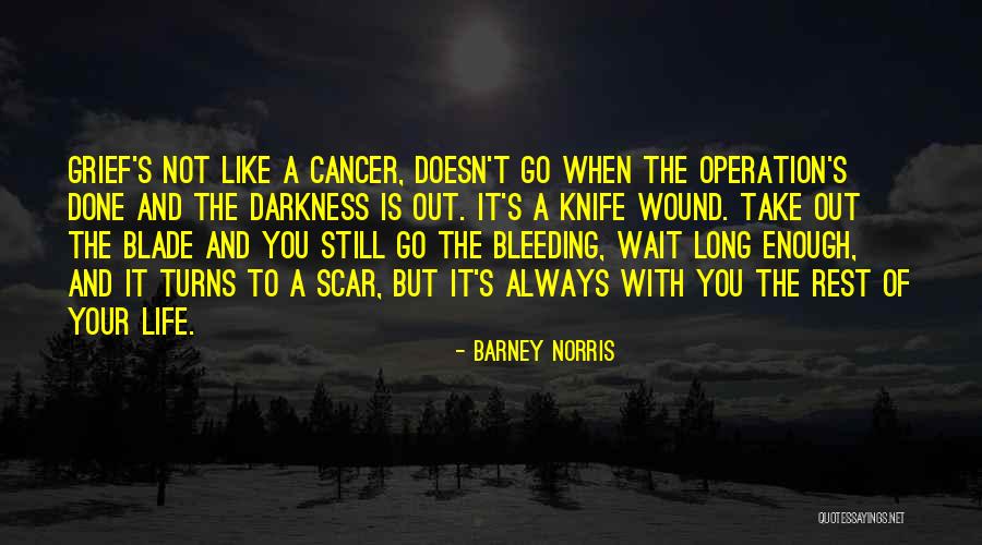 Wound And Scar Quotes By Barney Norris Wound And Scar Quotes By Barney Norris