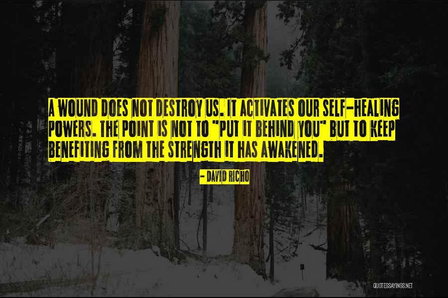 Wound Healing Quotes By David Richo Wound Healing Quotes By David Richo