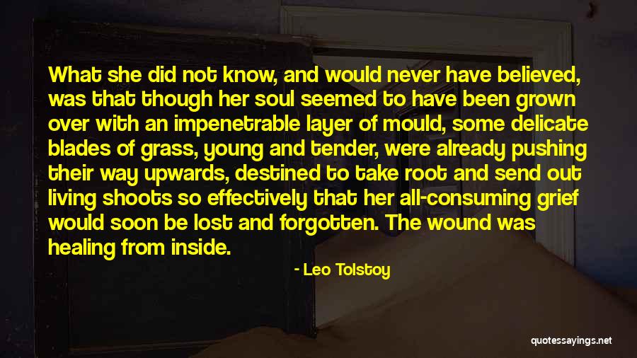 Wound Healing Quotes By Leo Tolstoy Wound Healing Quotes By Leo Tolstoy