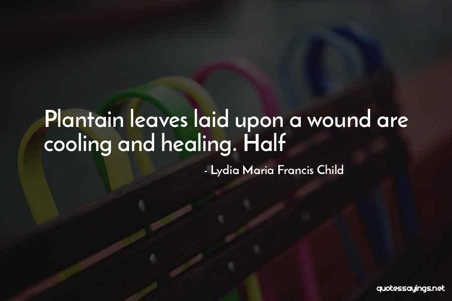 Wound Healing Quotes By Lydia Maria Francis Child Wound Healing Quotes By Lydia Maria Francis Child