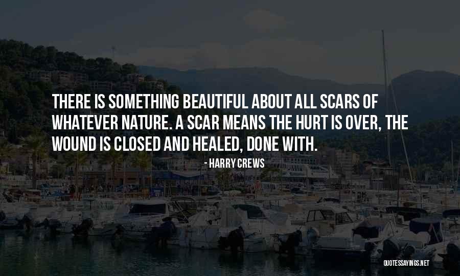 Wound Scar Quotes By Harry Crews