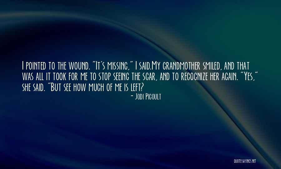 Wound Scar Quotes By Jodi Picoult