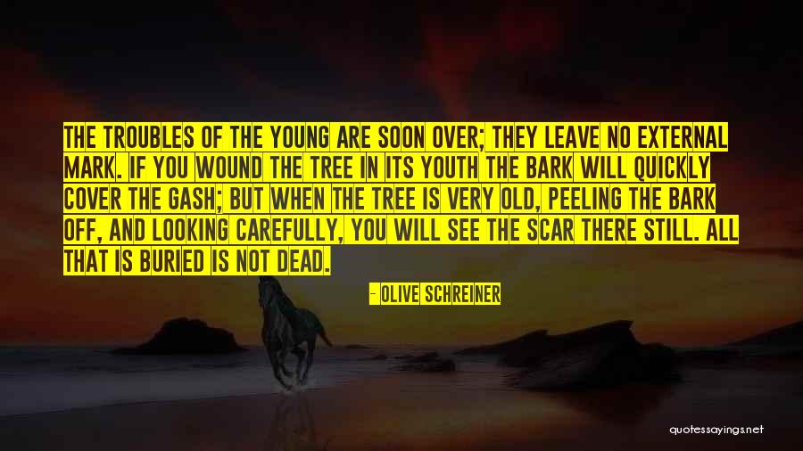 Wound Scar Quotes By Olive Schreiner