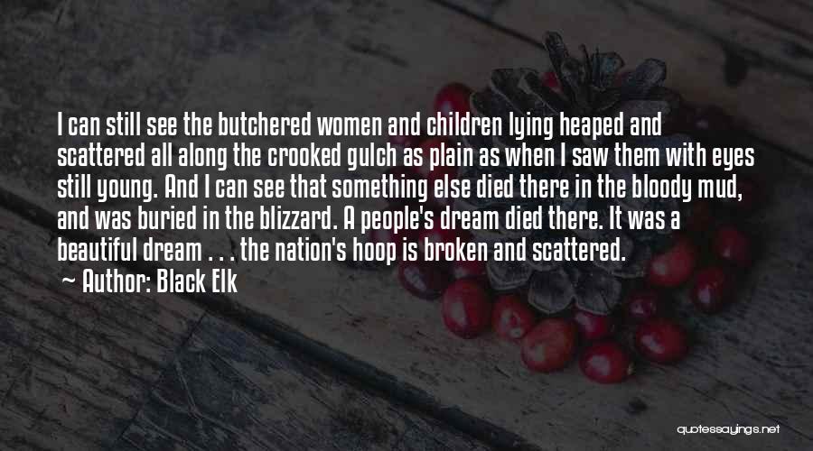 Wounded Knee Quotes By Black Elk
