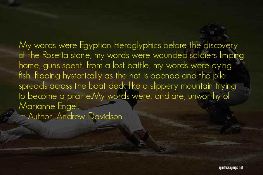 Wounded Soldiers Quotes By Andrew Davidson