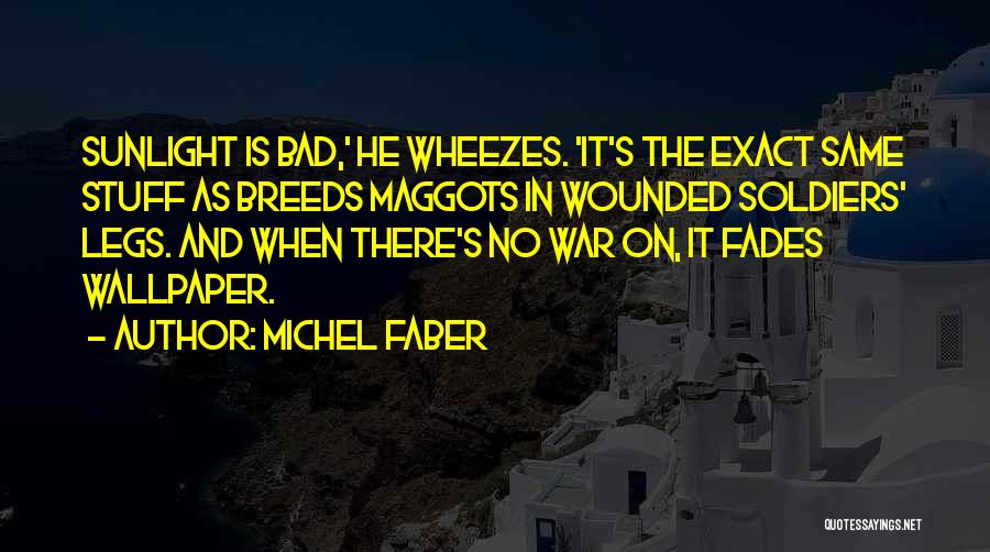 Wounded Soldiers Quotes By Michel Faber