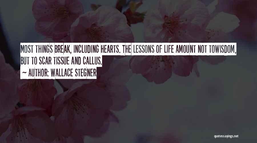 Wounds And Scars Quotes By Wallace Stegner