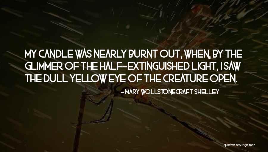 Wows Replays Quotes By Mary Wollstonecraft Shelley Wows Replays Quotes By Mary Wollstonecraft Shelley