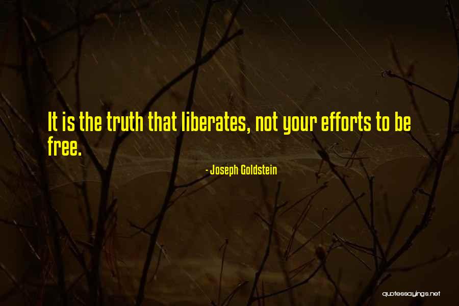 Wowzers Lil Quotes By Joseph Goldstein Wowzers Lil Quotes By Joseph Goldstein