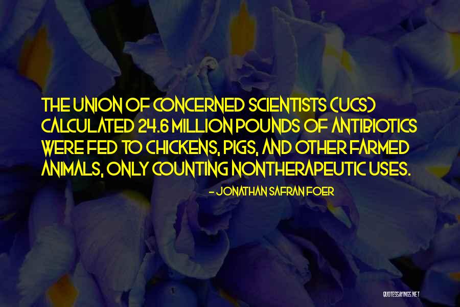 Wragby Solutions Quotes By Jonathan Safran Foer Wragby Solutions Quotes By Jonathan Safran Foer