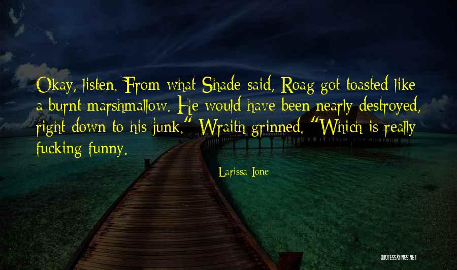 Wraith Quotes By Larissa Ione Wraith Quotes By Larissa Ione