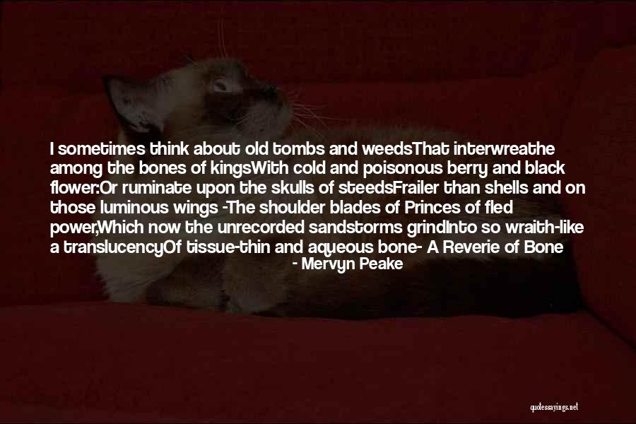 Wraith Quotes By Mervyn Peake Wraith Quotes By Mervyn Peake