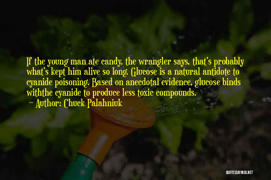 Wrangler Quotes By Chuck Palahniuk