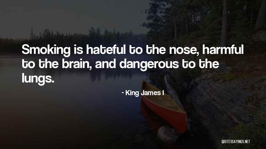 Wrap Around Spider Quotes By King James I Wrap Around Spider Quotes By King James I