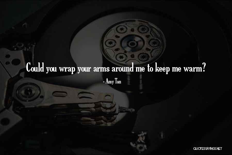 Wrap You In My Arms Quotes By Amy Tan