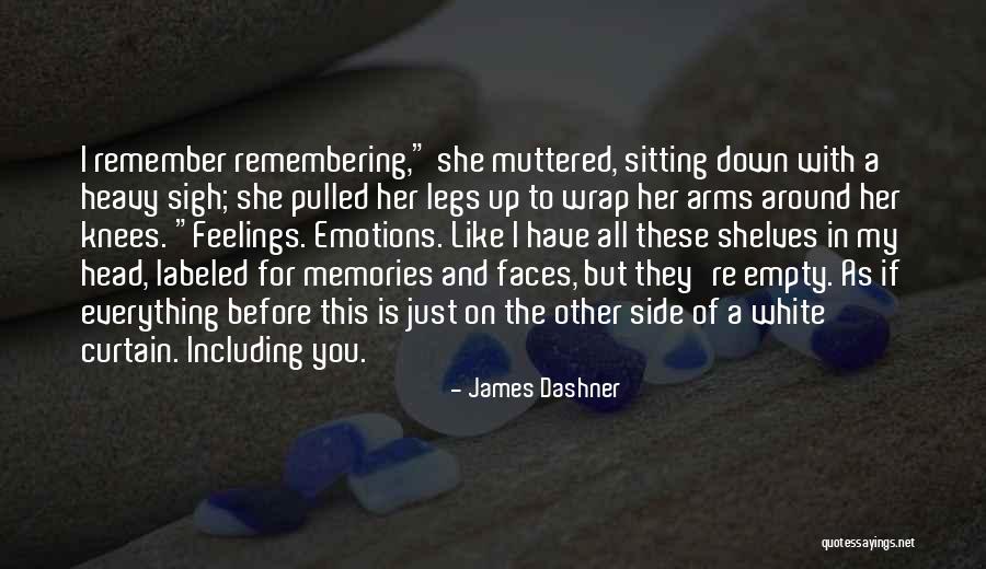 Wrap You In My Arms Quotes By James Dashner