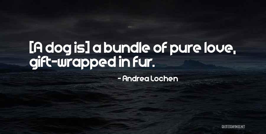 Wrapped Gift Quotes By Andrea Lochen Wrapped Gift Quotes By Andrea Lochen