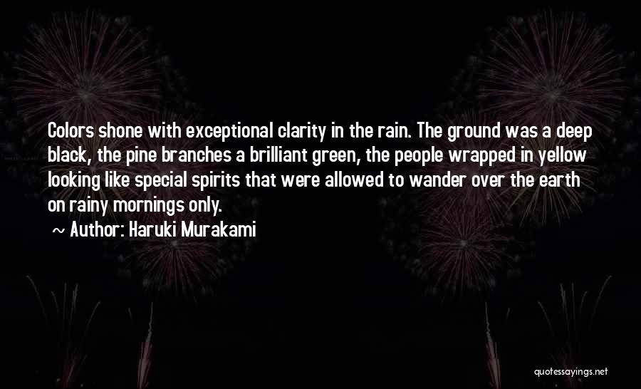 Wrapped In Rain Quotes By Haruki Murakami