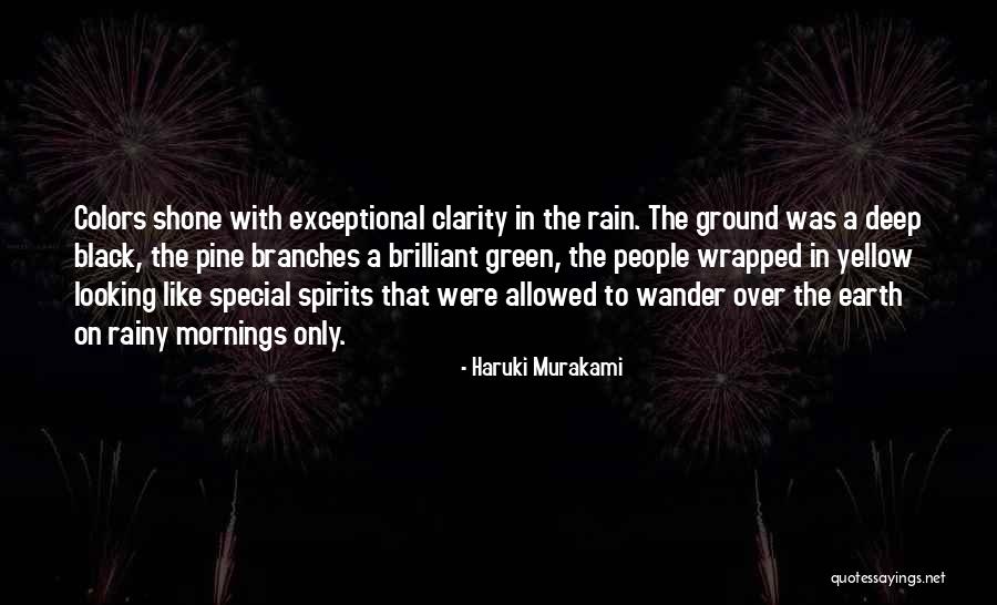 Wrapped In Rain Quotes By Haruki Murakami