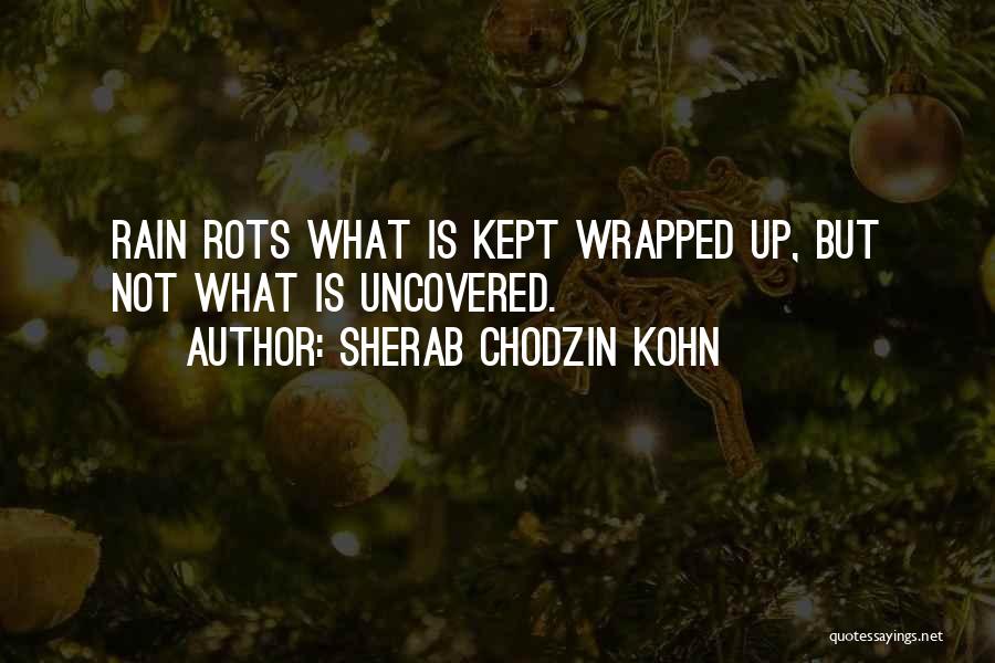 Wrapped In Rain Quotes By Sherab Chodzin Kohn